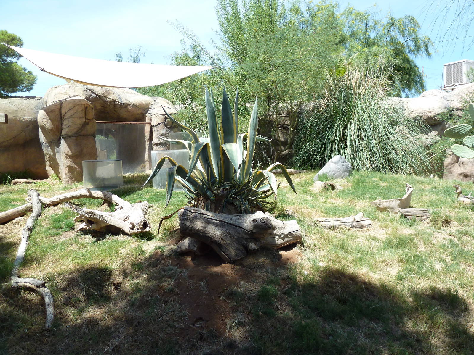 Americas - Prairie Dog Exhibit