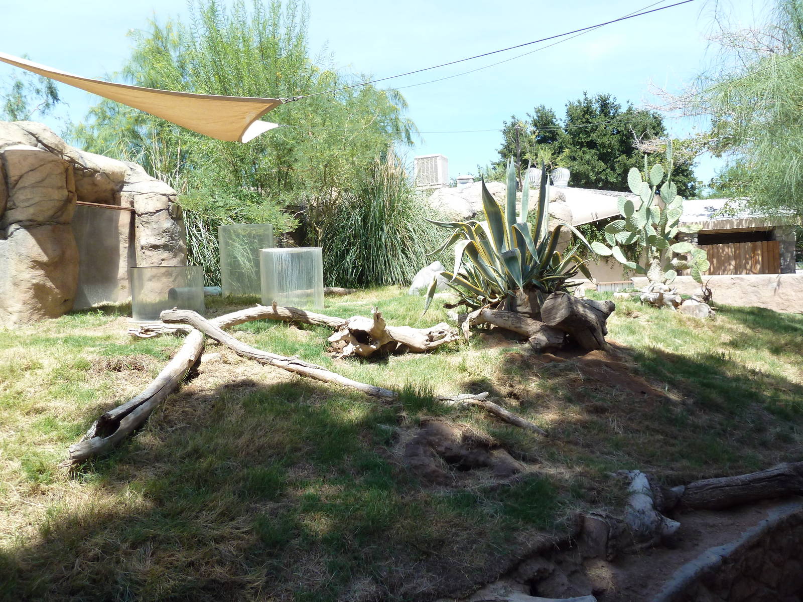 Americas - Prairie Dog Exhibit