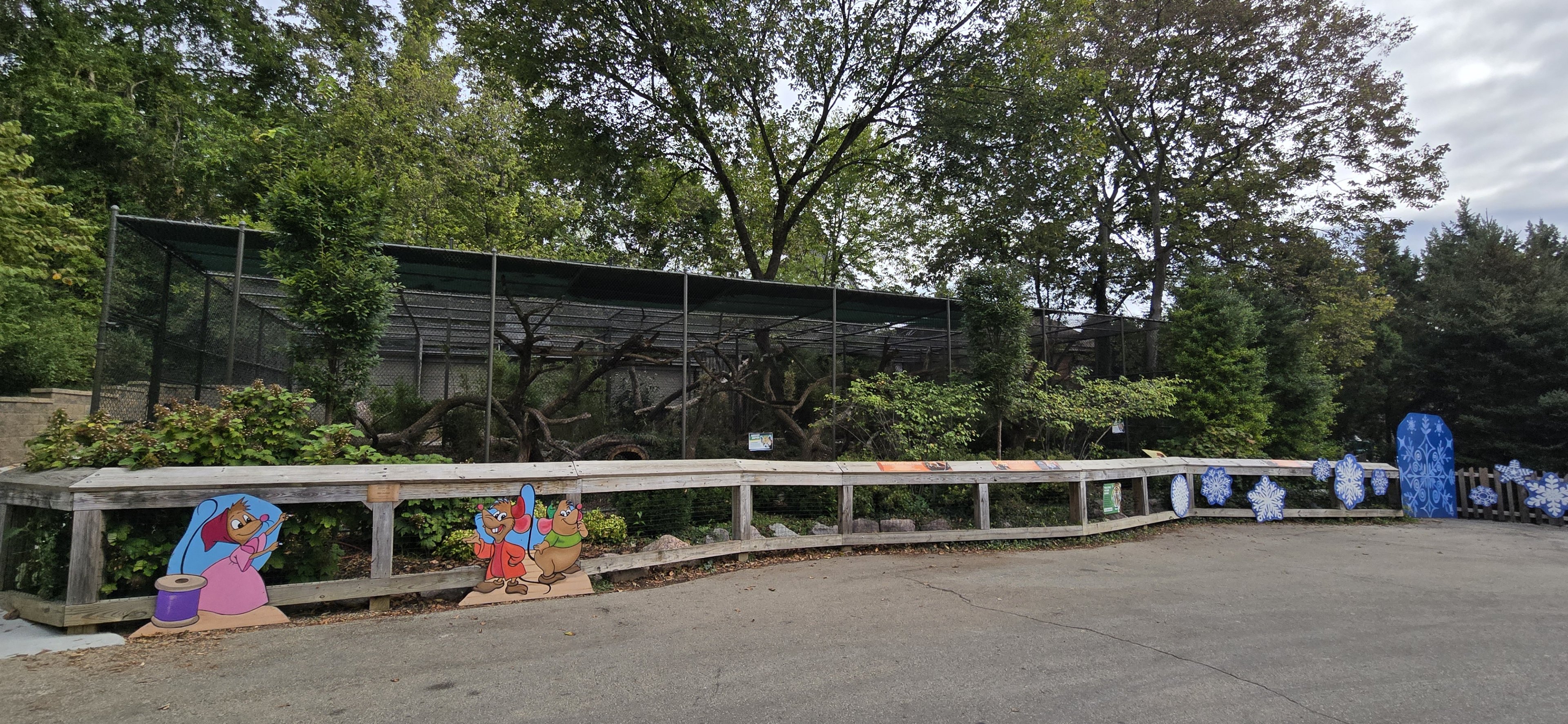 Americas - Red Panda