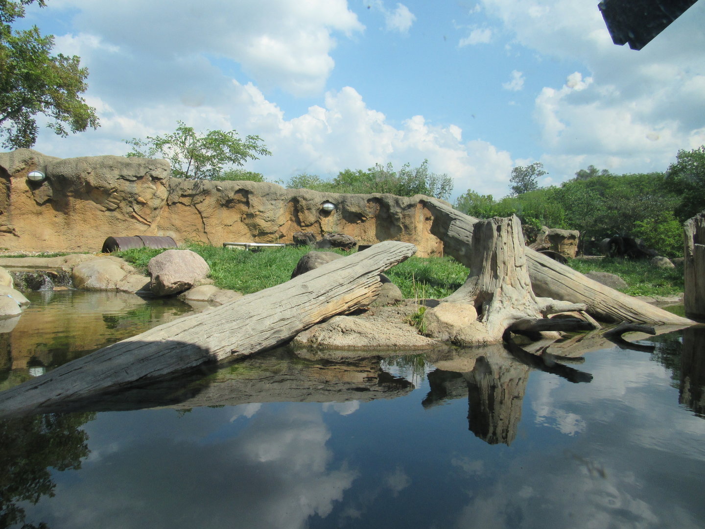 Americas - River Otter Exhibit