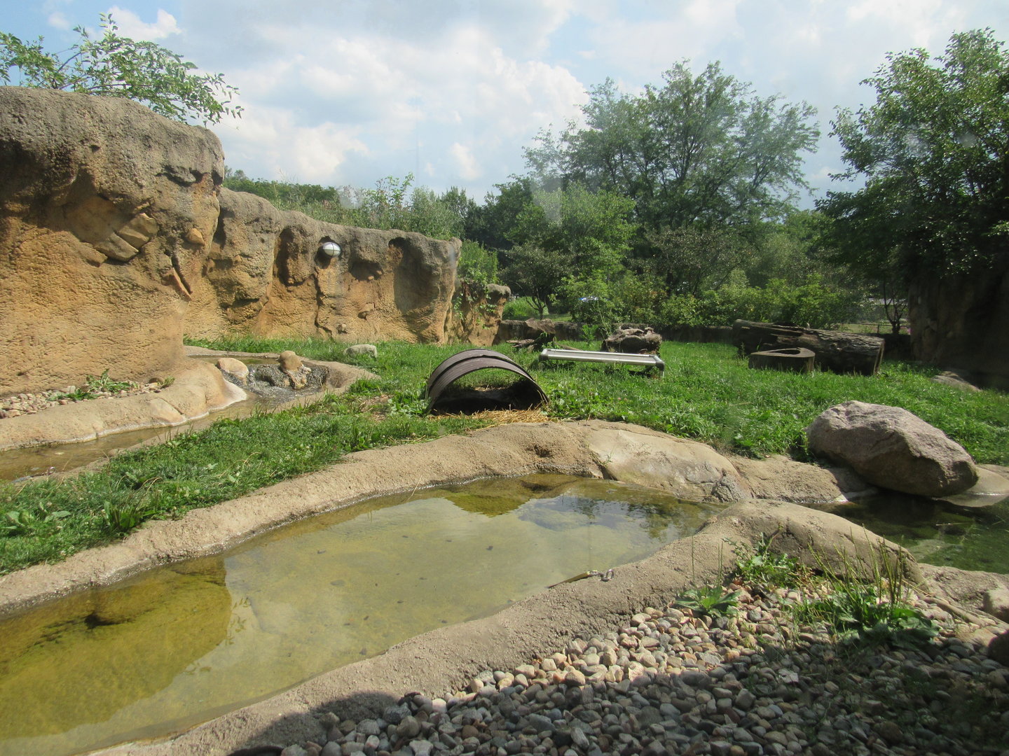 Americas - River Otter Exhibit