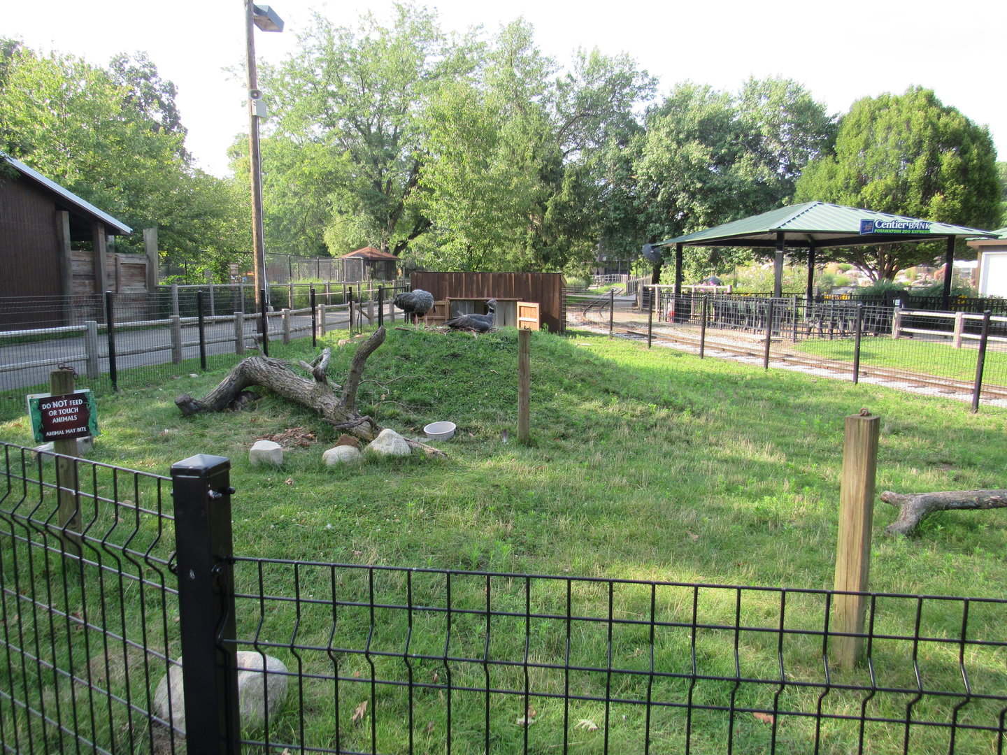 Americas - Southern Screamer Exhibit