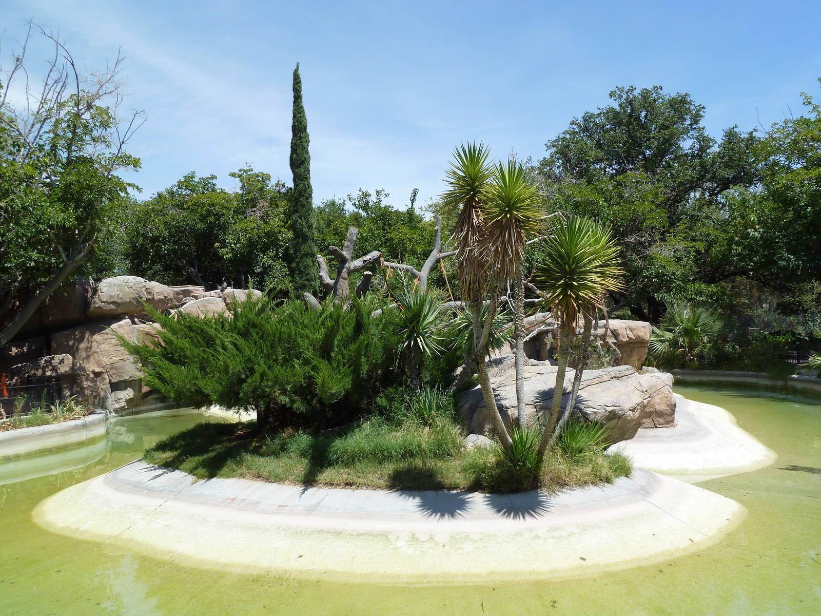 Americas - Spider Monkey Island