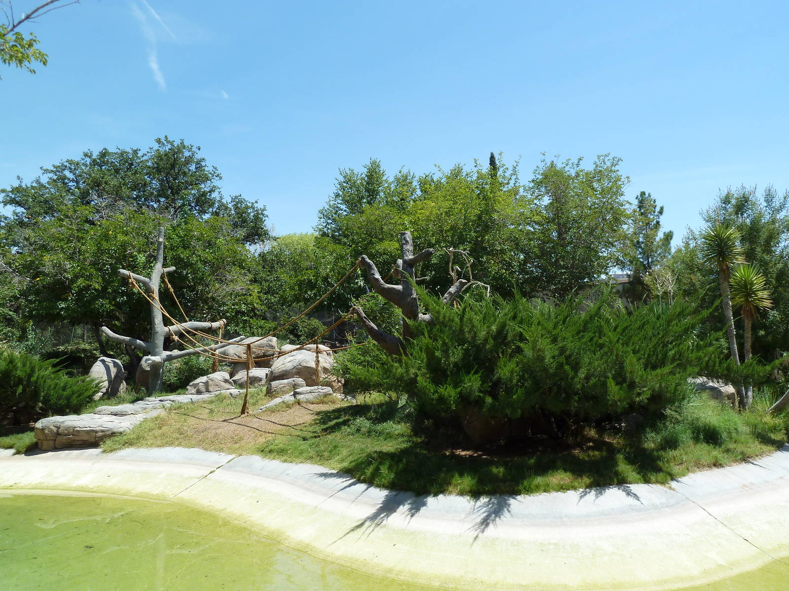 Americas - Spider Monkey Island