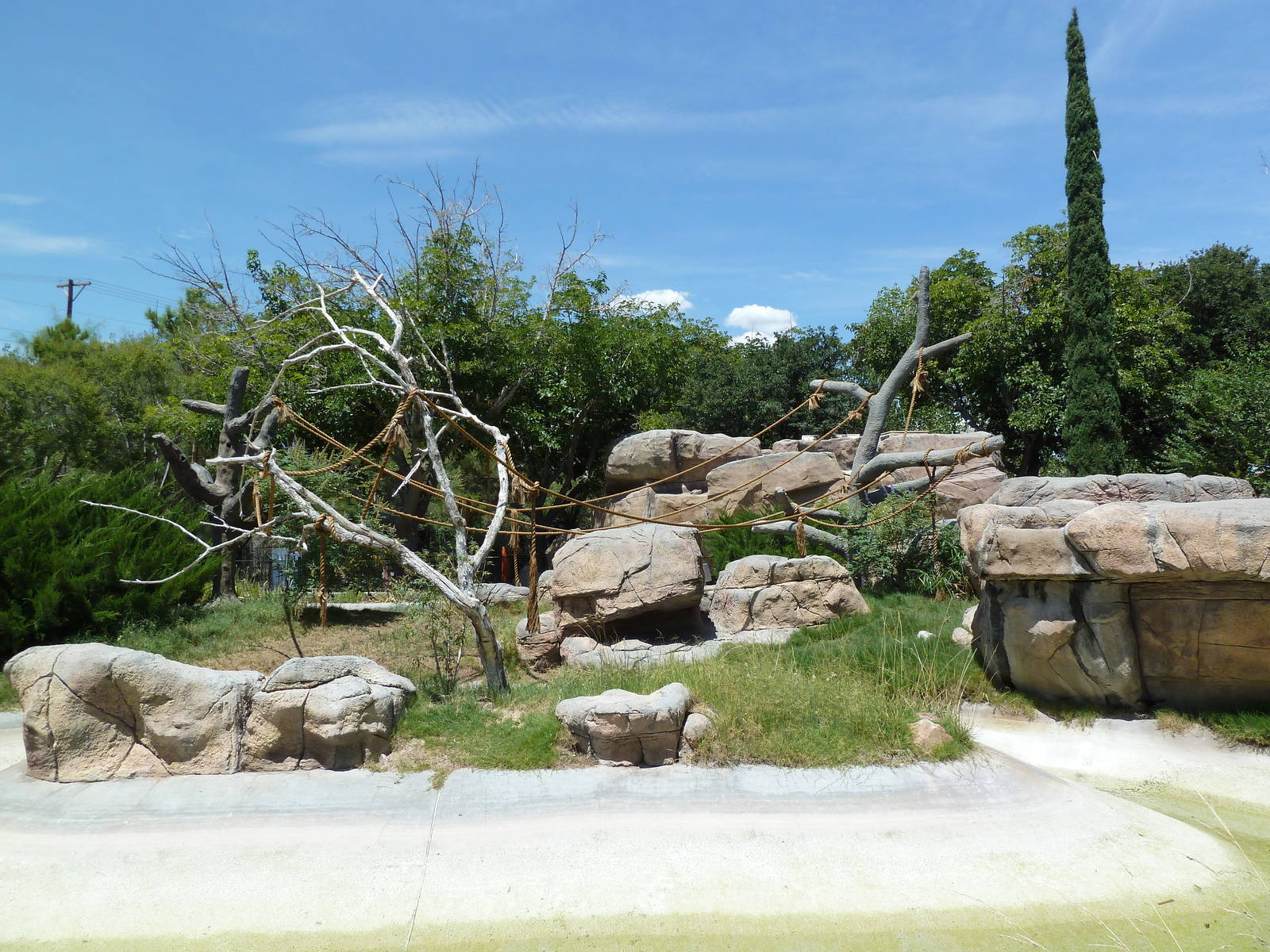 Americas - Spider Monkey Island