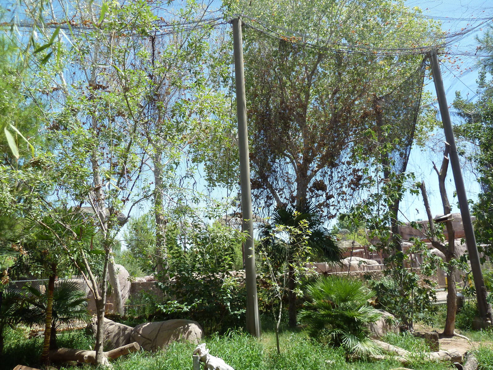 Americas - Walk-Through Aviary