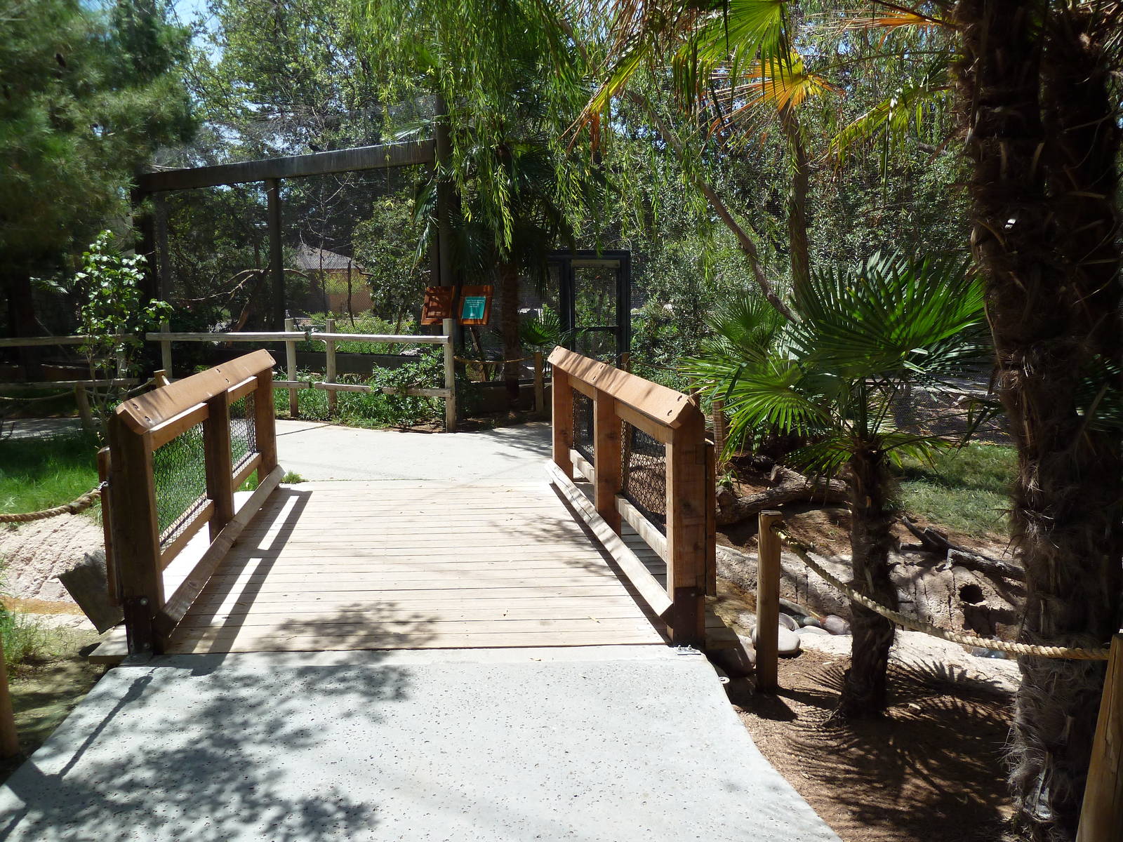 Americas - Walk-Through Aviary