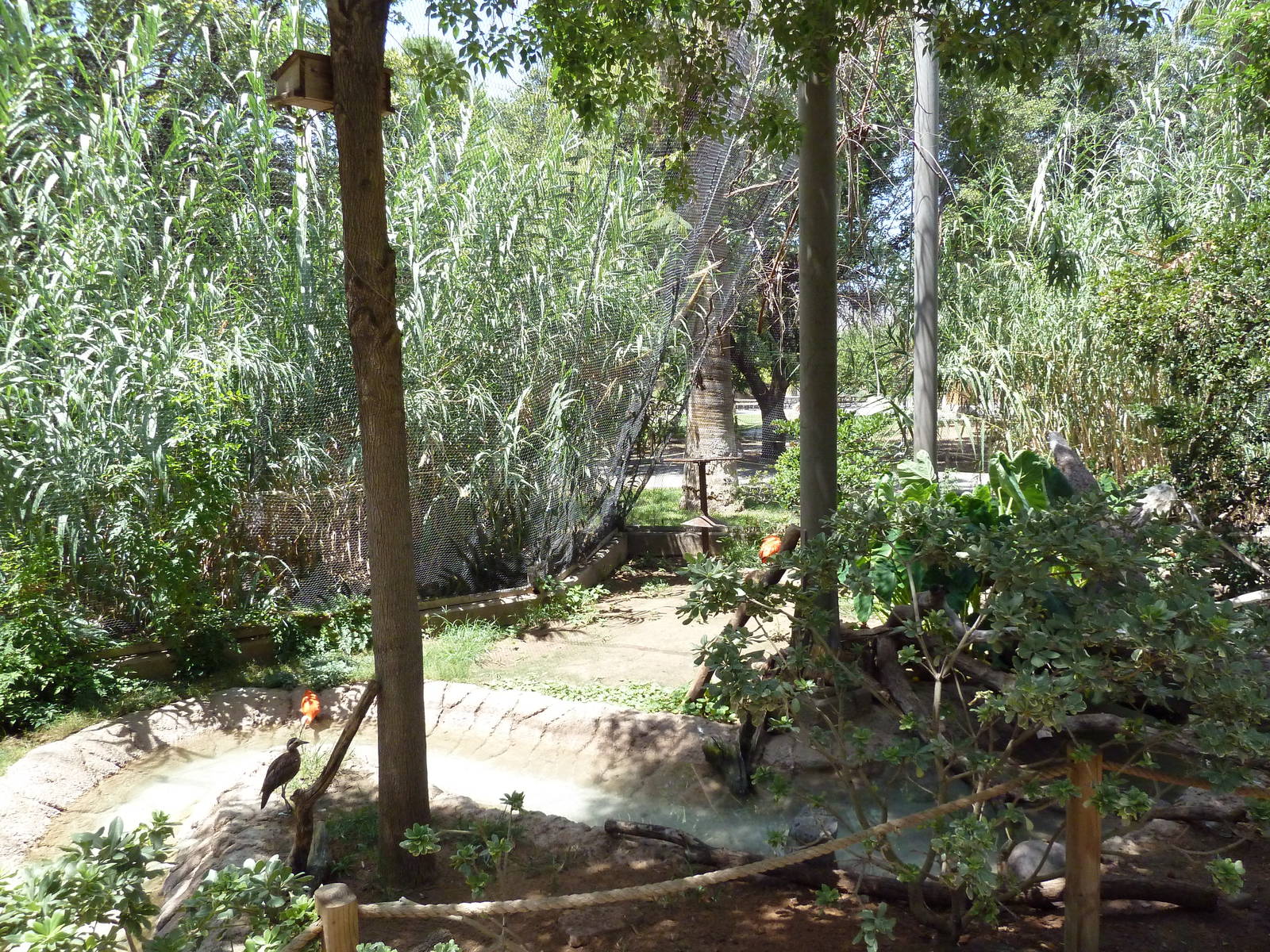 Americas - Walk-Through Aviary