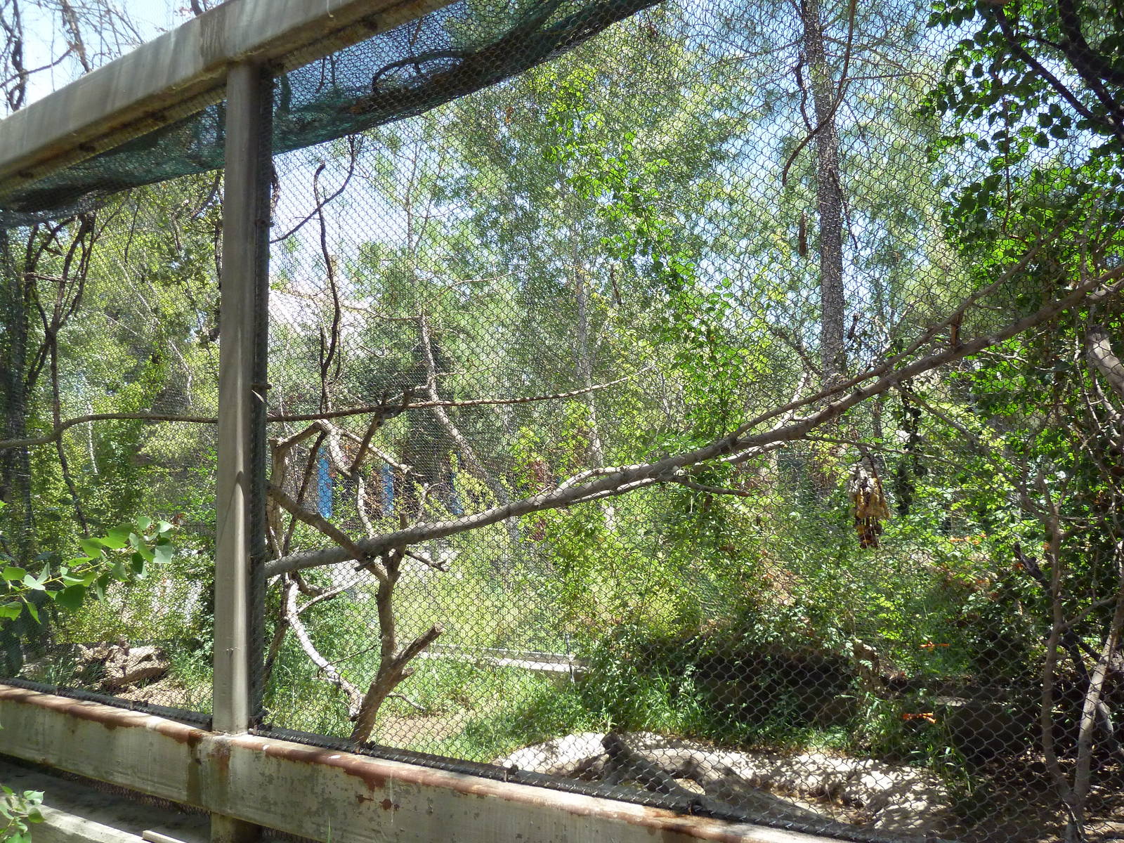 Americas - Walk-Through Aviary