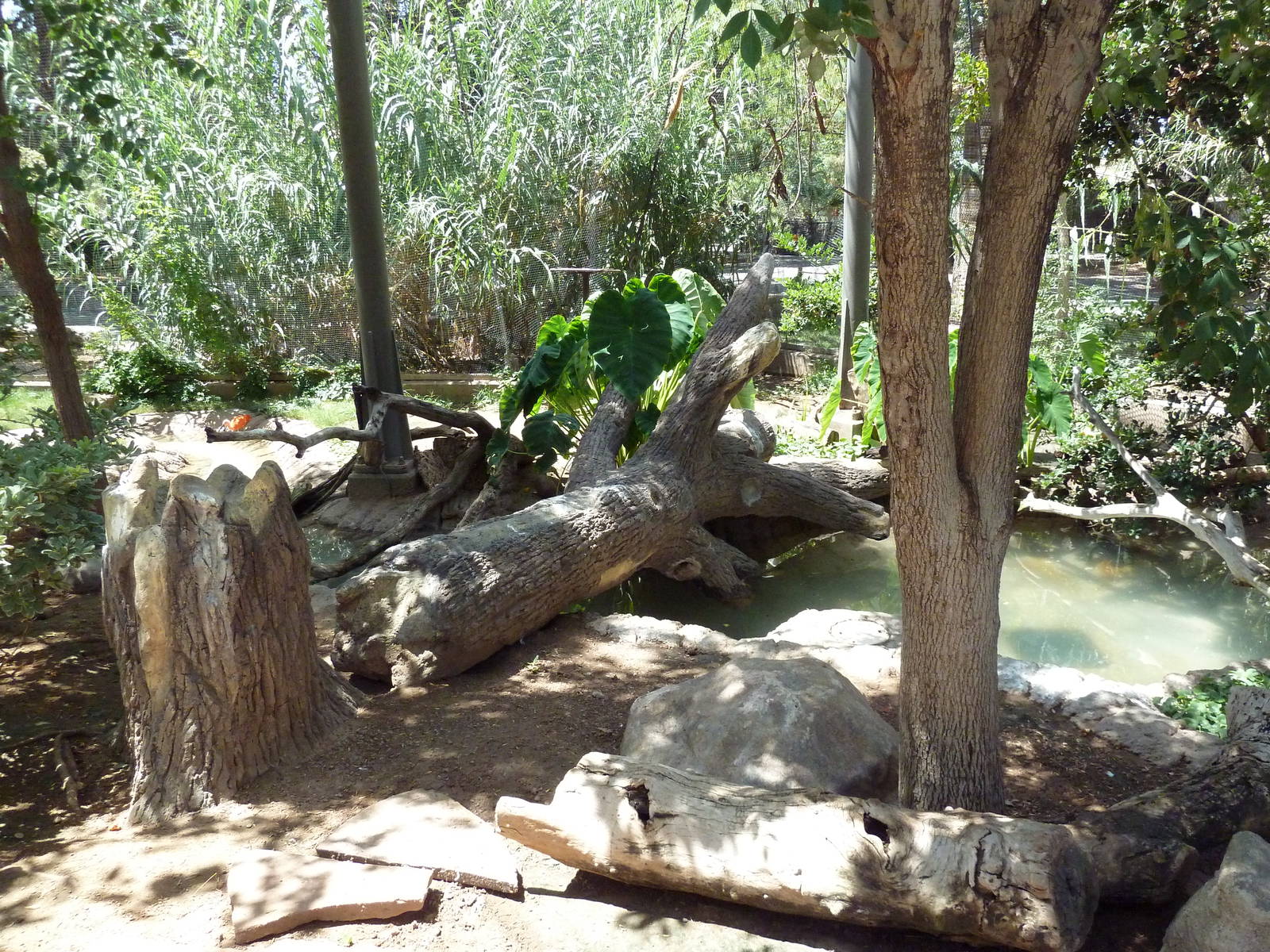 Americas - Walk-Through Aviary