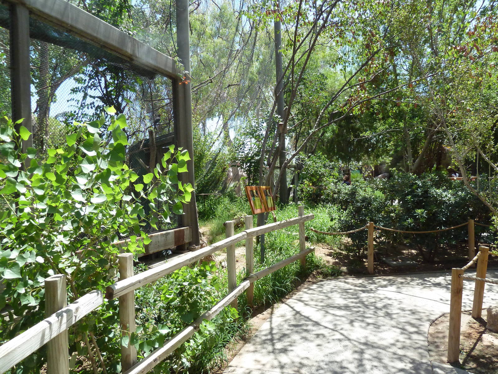 Americas - Walk-Through Aviary