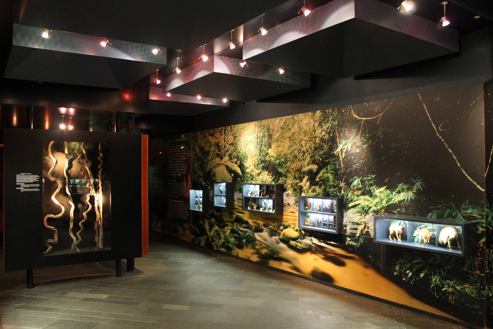 Americasa - Biodiversity education