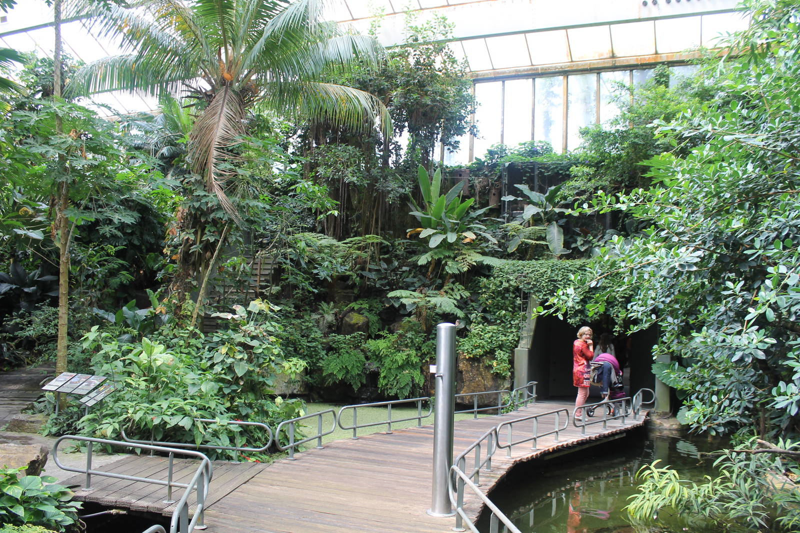 Americasa - Main tropical walkthrough overview 1