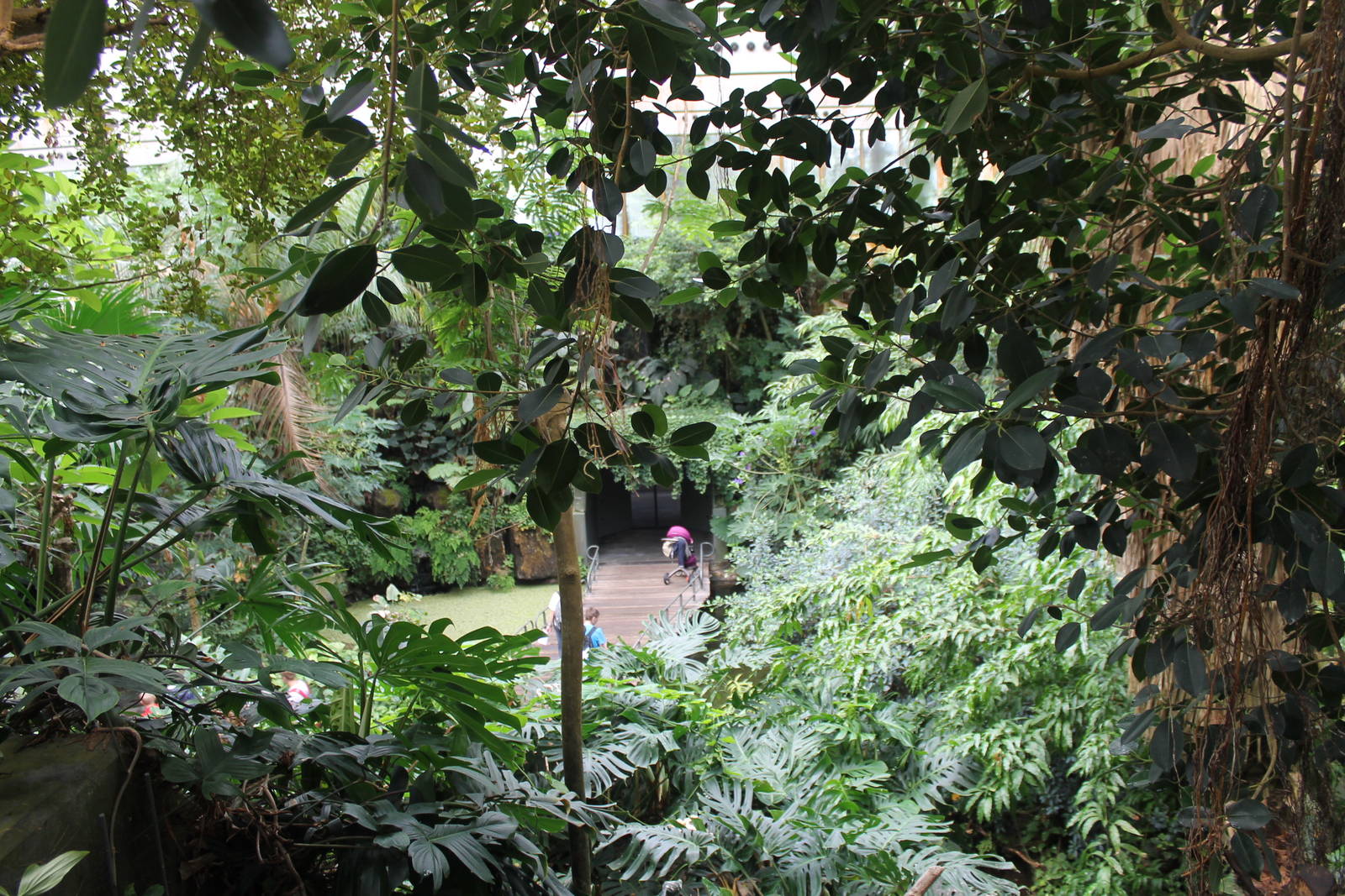 Americasa - View from the second floor of the tropical walkthrough