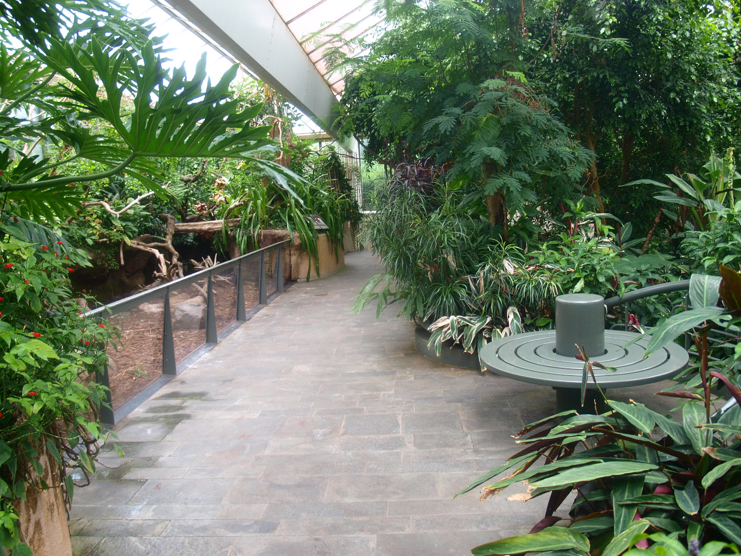 Americasa - Walkway and bench next to the large hairy armadillo exhibit, 2015-07-19