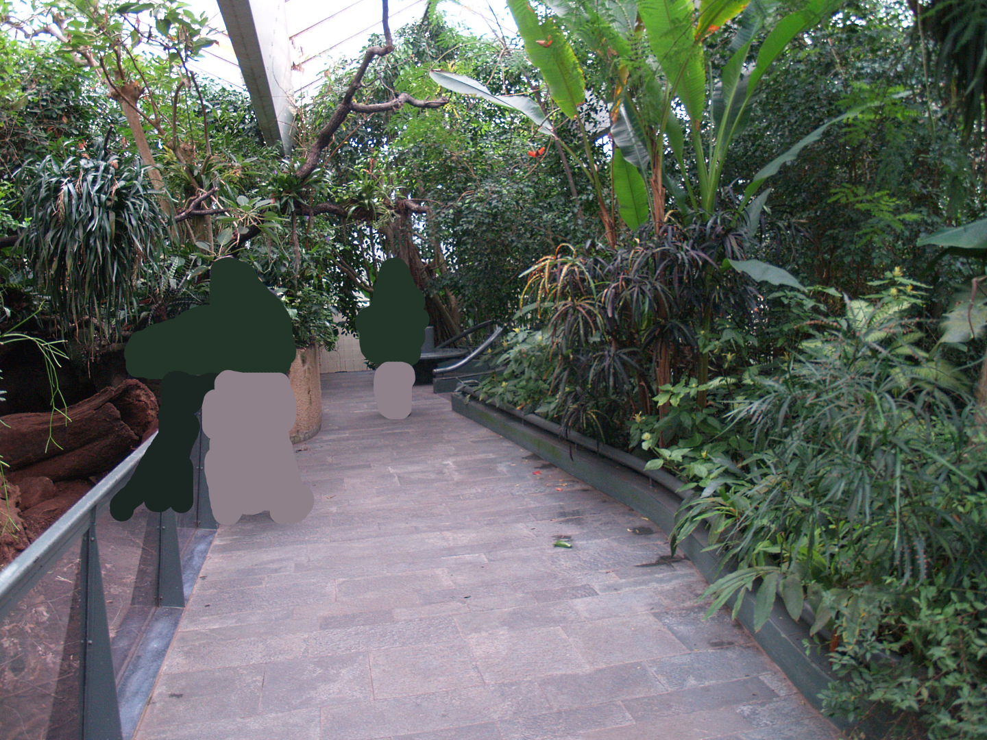 Americasa - Walkway next to the armadillo exhibit, 2008-03-01