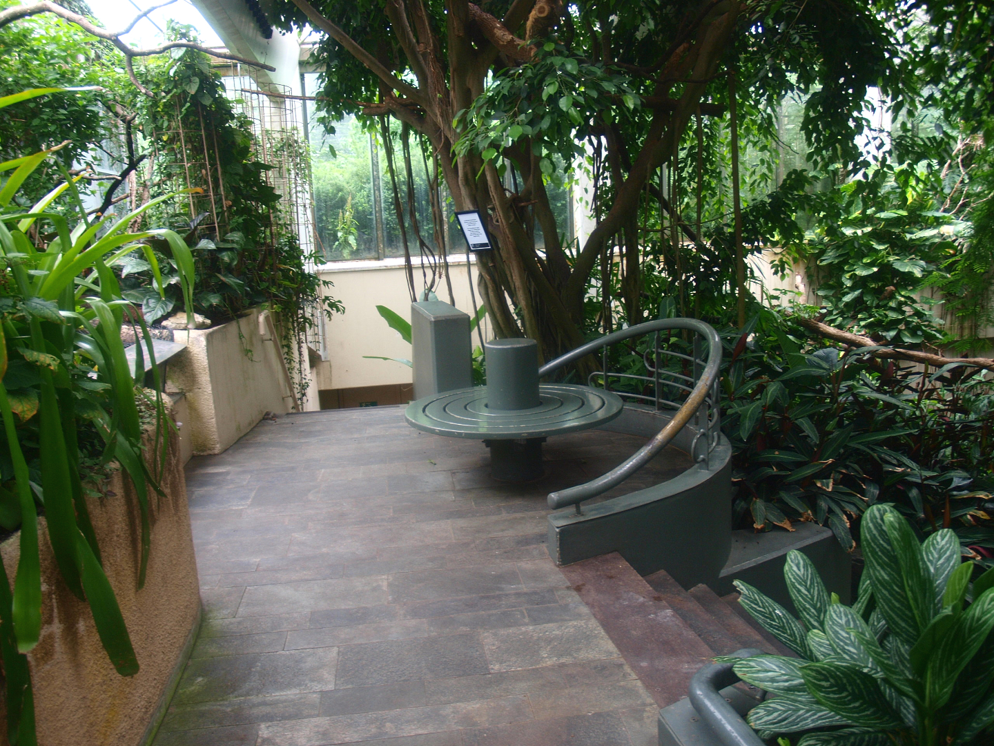 Americasa - Walkways, stairs and bench, 2015-07-19