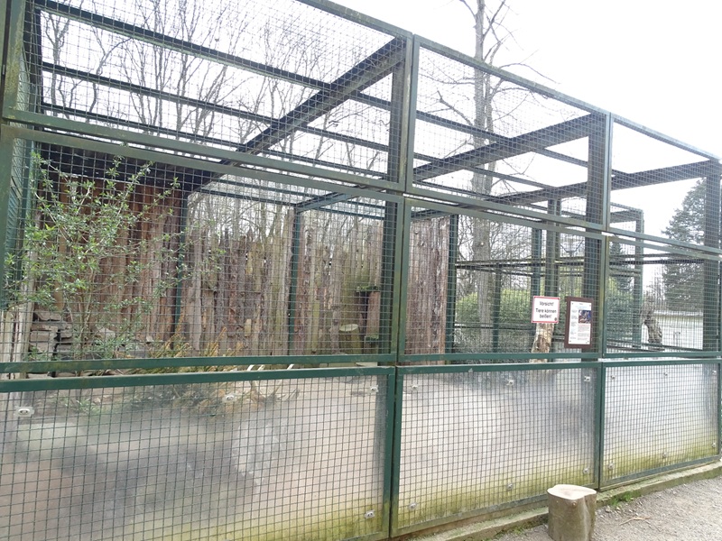 Amerika-Tierpark: arctic fox enclosure