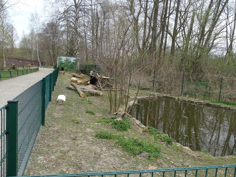 Amerika-Tierpark: capibara / coscorobo swan enclosure