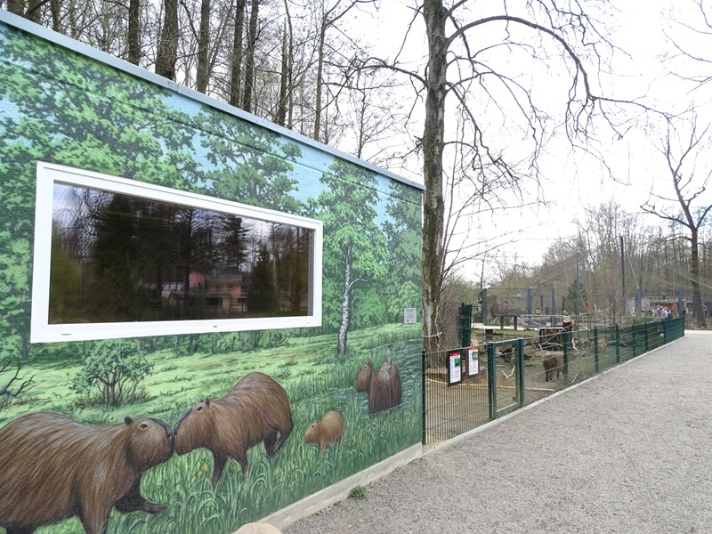 Amerika-Tierpark: Capybara indoor enclosure