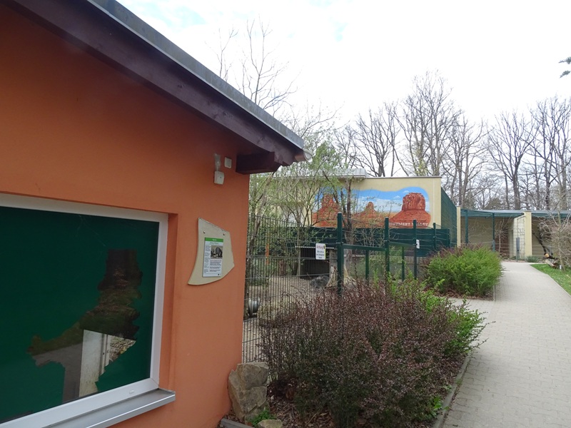 Amerika-Tierpark: chacoan peccary enclosure