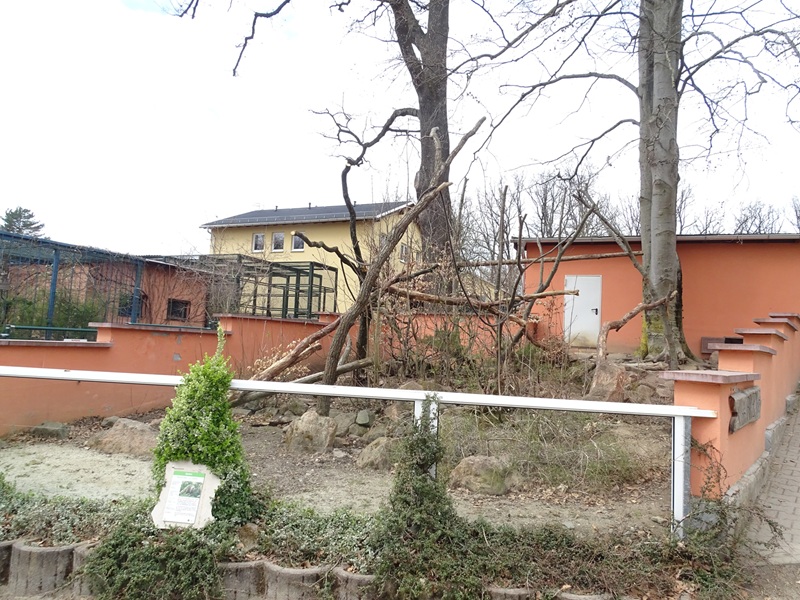 Amerika-Tierpark: coati enclosure
