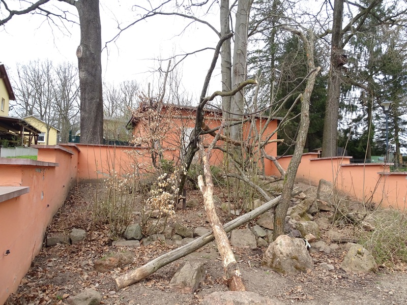 Amerika-Tierpark: coati enclosure