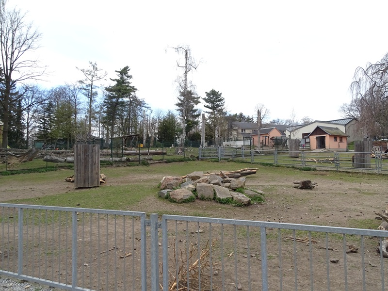 Amerika-Tierpark: donkey enclosure