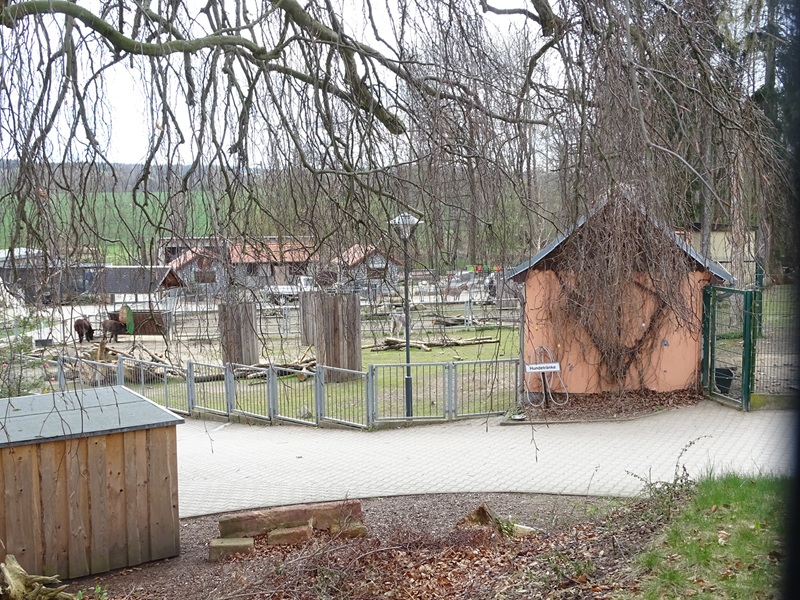 Amerika-Tierpark: donkey enclosure
