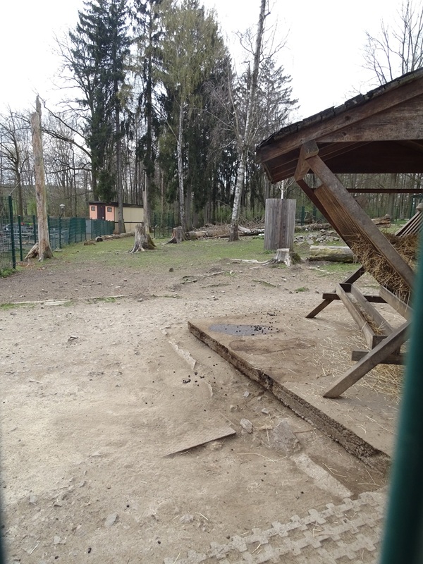 Amerika-Tierpark: fallow deer enclosure