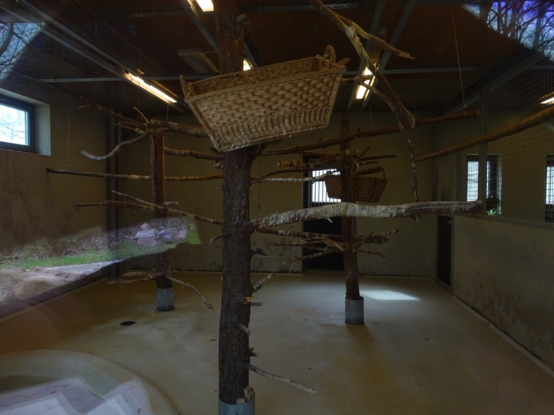 Amerika-Tierpark: Flamingo-Land - Indoor housing