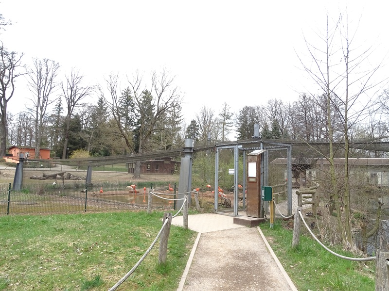 Amerika-Tierpark: Flamingo-Land