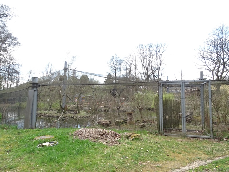 Amerika-Tierpark: Flamingo-Land