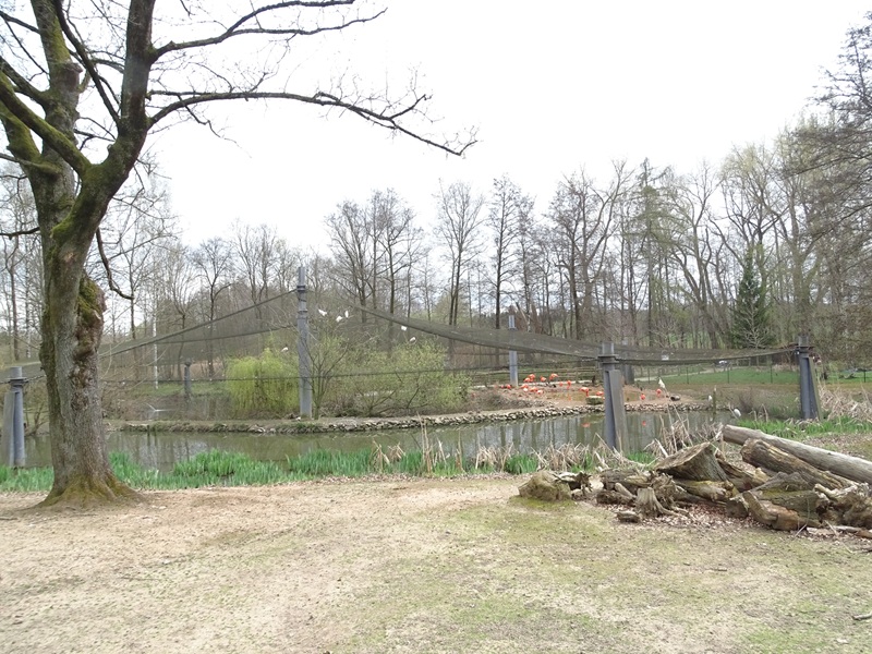Amerika-Tierpark: Flamingo-Land