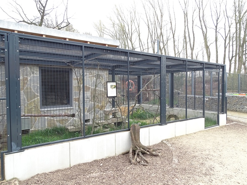 Amerika-Tierpark: InkaLand - burrowing owl enclosure