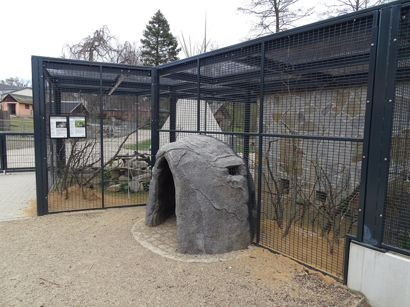 Amerika-Tierpark: InkaLand - cavy, Chacoan mara and Californian quail