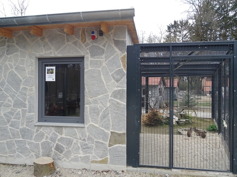 Amerika-Tierpark: InkaLand - cavy, Chacoan mara and Californian quail