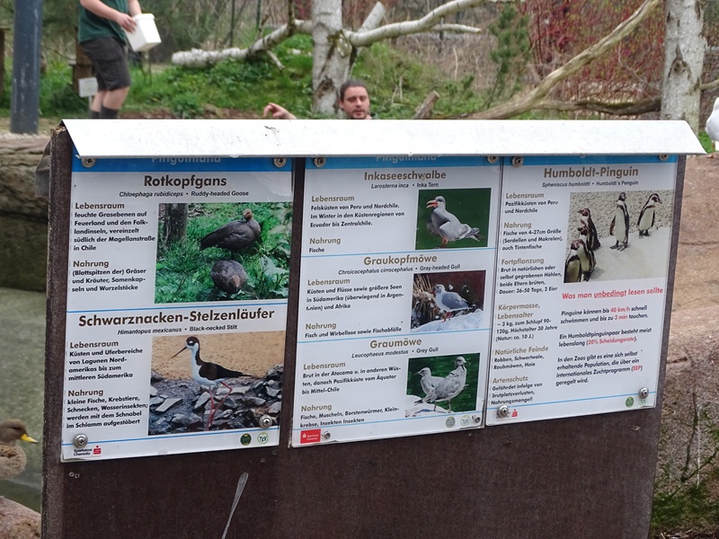 Amerika-Tierpark: InkaLand - Penguin/gull/tern aviary signage