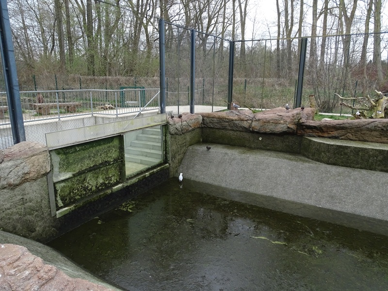 Amerika-Tierpark: InkaLand - Penguin/gull/tern aviary
