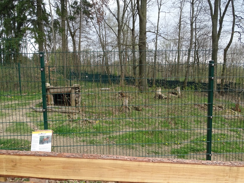 Amerika-Tierpark: maned wolf enclosure