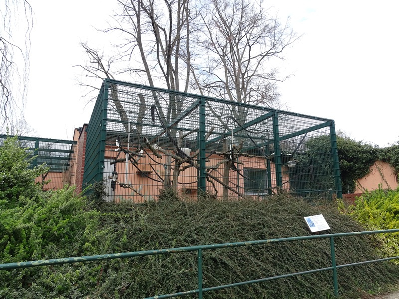 Amerika-Tierpark: Moor macaque enclosure
