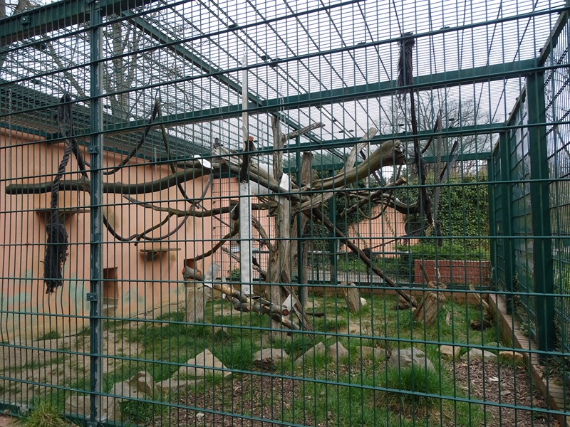 Amerika-Tierpark: Moor macaque enclosure