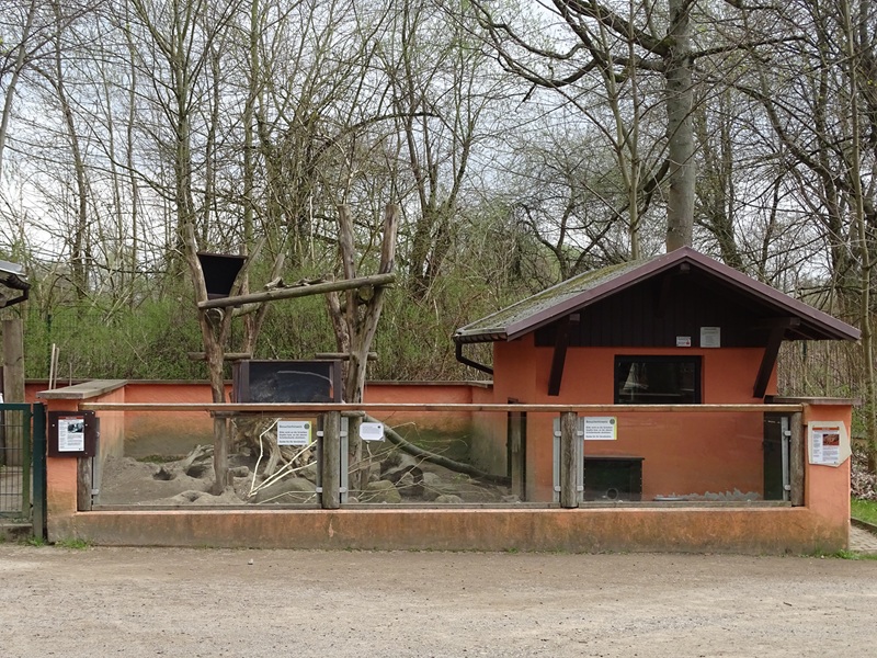 Amerika-Tierpark: Prairie dog / tree porcupine enclosure