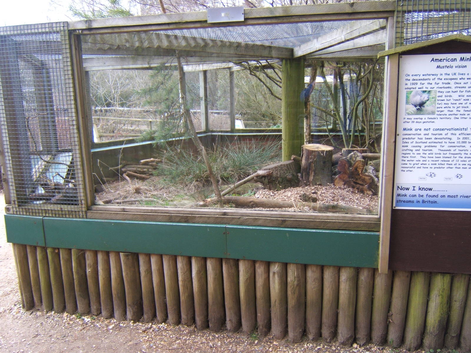Amerixan Mink enclosure