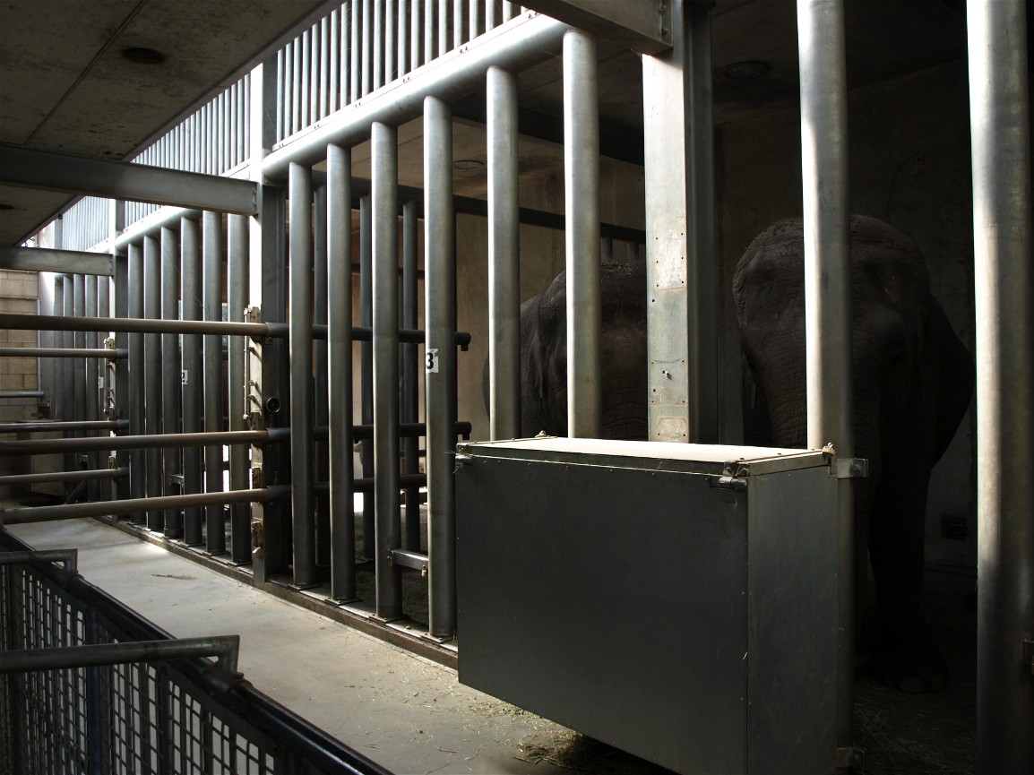 Amersfoort Zoo - Elephant indoor boxes