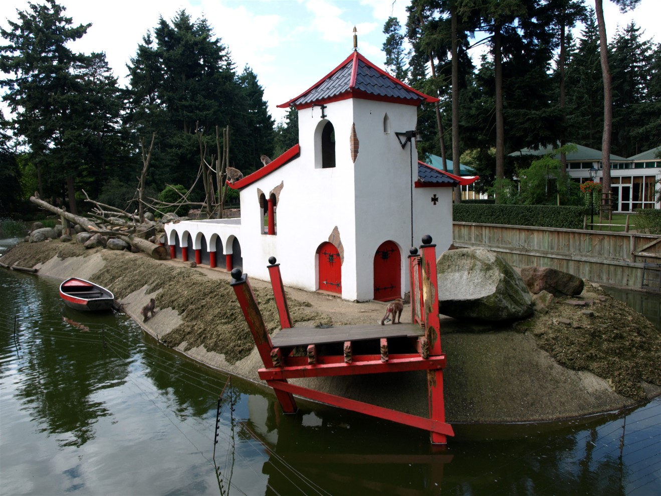 Amersfoort Zoo - Japanese macaque island