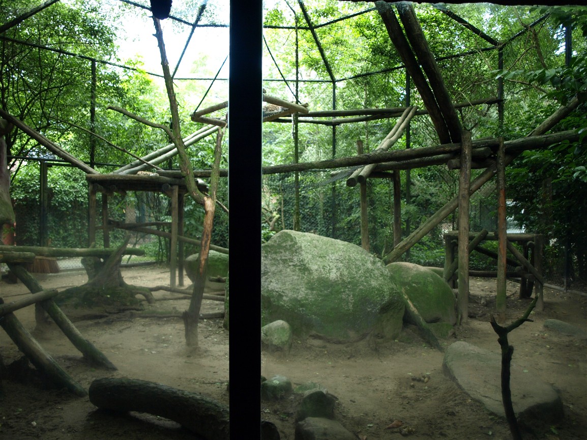 Amersfoort Zoo - Leopard exhibit