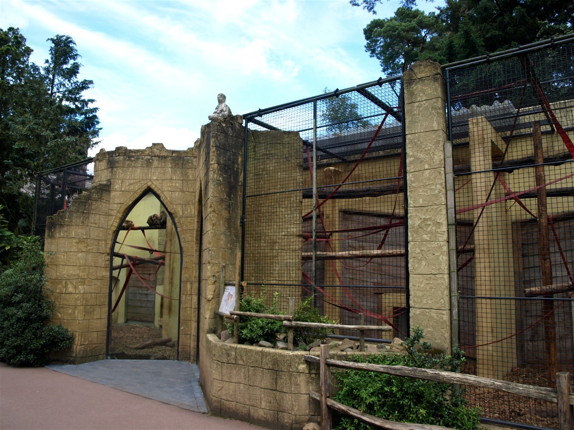 Amersfoort Zoo - Macaque exhibit