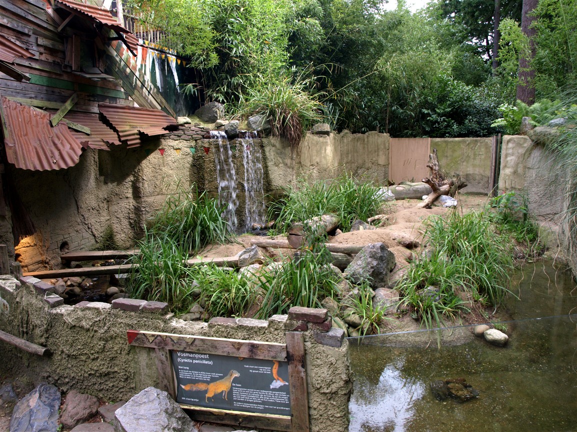 Amersfoort Zoo - Mongoose exhibit