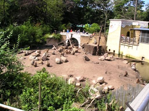 Amersfoort zoo (NL) Ancient city